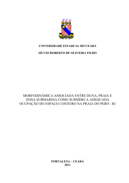 Silvio Roberto de Oliveitra Filho