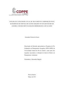 SOUZA, Alexandre Pereira. Análise da Capacidade - PPE
