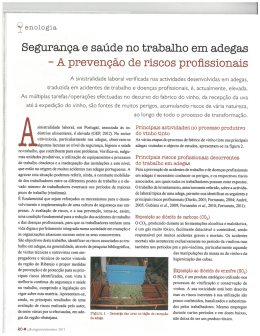 Seguran&ccedil;a e sa&uacute;de no trabalho em adegas