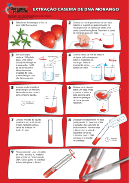 EXTRA&Ccedil;&Atilde;O CASEIRA DE DNA MORANGO