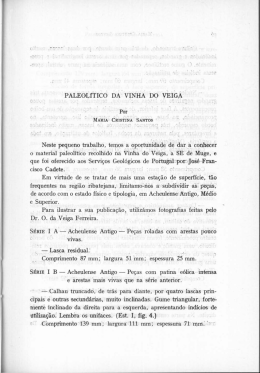 Paleol&iacute;tico da Vinha do Veiga