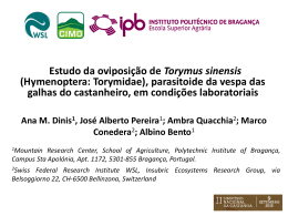 Estudo da oviposição de Torymus sinensis