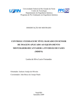 Disserta&ccedil;&atilde;o de Mestrado de Lenita