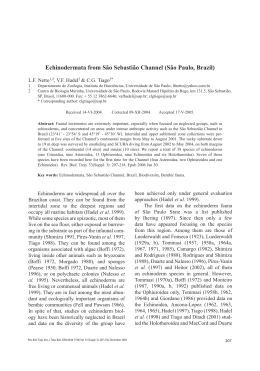 Echinodermata from S&atilde;o Sebasti&atilde;o Channel