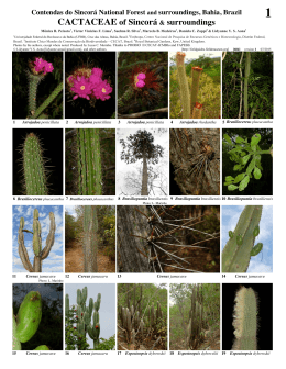 CACTACEAE of Sincorá & surroundings