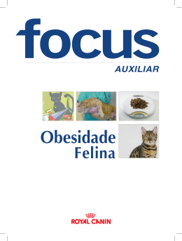 Obesidade felina - Clínica Veterinária Dra. Dóris Bruder