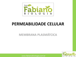 permeabilidade na membrana plasmática