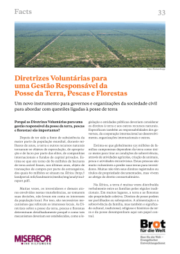 Facts 33 Diretrizes Volunt&aacute;rias para uma Gest&atilde;o