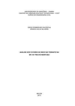 an&aacute;lise dos fatores de risco no tr&acirc;nsito na br 316 trecho