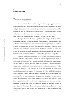 5 Ciclos de vida - Maxwell - PUC-Rio