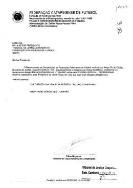Proc. 185-13 - Federa&ccedil;&atilde;o Catarinense de Futebol