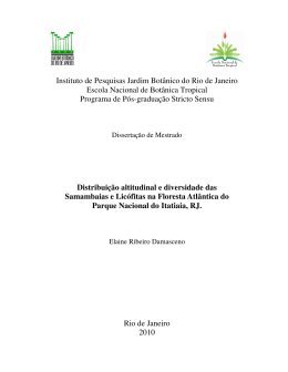 Elaine Ribeiro Damasceno - Instituto de Pesquisas Jardim Bot&acirc;nico