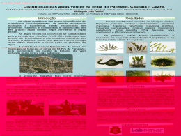 Distribui&ccedil;&atilde;o das algas verdes na praia do Pacheco, Caucaia