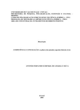 disserta&ccedil;&atilde;o antonio fernando schenkel do amaral e silva