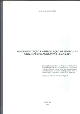 Funcionaliza&ccedil;&atilde;o e Intercala&ccedil;&atilde;o de mol&eacute;culas org&acirc;nicas em