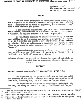 Arquivo em PDF