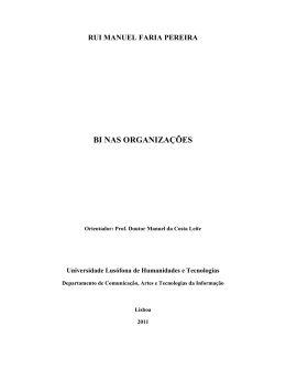 rui manuel faria pereira bi nas organiza&ccedil;&otilde;es