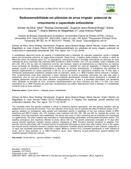 Documento completo Descargar archivo