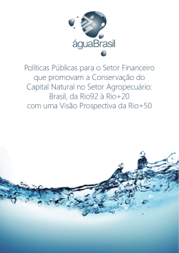 Pol&iacute;ticas P&uacute;blicas para o Setor Financeiro que