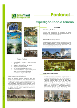 Pantanal em 4x4 (Brasil) - Active Travel Management