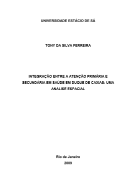 Disserta&ccedil;&atilde;o Tony da Silva Ferreira