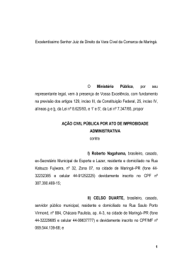 Excelent&iacute;ssimo Senhor Juiz de Direito da Vara C&iacute;vel da Comarca de