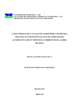 Douglas Ramos Guelfi Silva - Tese Doutorado