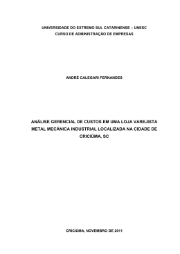 an&aacute;lise gerencial de custos em uma loja varejista metal