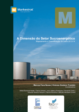 A Dimens&atilde;o do Setor Sucroenerg&eacute;tico Mapeamento e