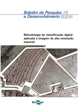 imagem - Ainfo
