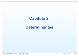 Capıtulo 2 Determinantes