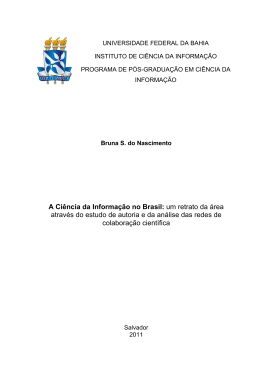 Disserta&ccedil;&atilde;o Final - RI UFBA