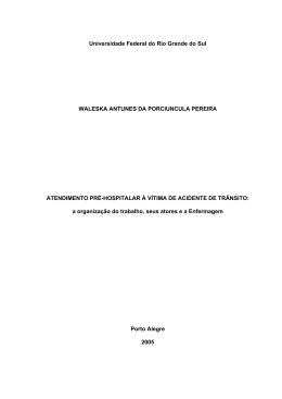 Atendimento pré-hospitalar à vítima de acidente de trânsito: a