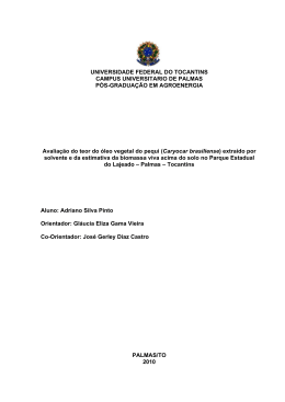 Disserta&ccedil;&atilde;o - Adriano Silva Pinto