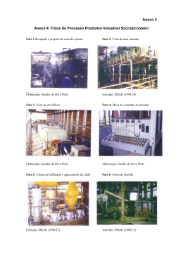 Anexo 4 Anexo 4: Fotos do Processo Produtivo
