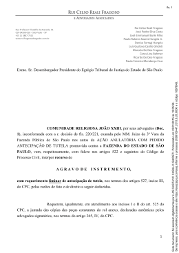 Exmo. Sr. Desembargador Presidente do Egr&eacute;gio Tribunal de