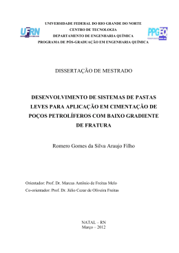 Romero Gomes da Silva Araujo Filho