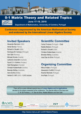 0-1 Matrix Theory and Related Topics