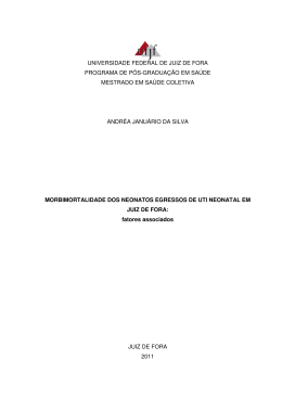 Disserta&ccedil;&atilde;o - Universidade Federal de Juiz de Fora