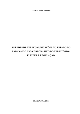 As redes de telecomunica&ccedil;&otilde;es no estado do Paran&aacute;