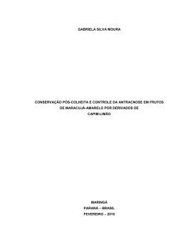 gabriela silva moura conserva&ccedil;&atilde;o p&oacute;s