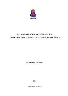 Jo&atilde;o Abel da Silva