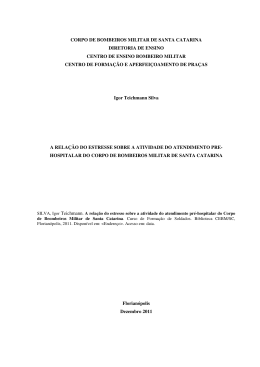 Igor Teichmann Silva