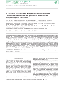 A revision of Aechmea subgenus Macrochordion (Bromeliaceae