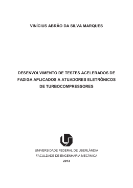 vin&iacute;cius abr&atilde;o da silva marques desenvolvimento de testes