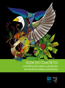 Al&eacute;m do concreto: - Instituto Terra Brasilis