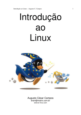 Introdu&ccedil;&atilde;o ao Linux