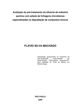 FLAVIO SILVA MACHADO