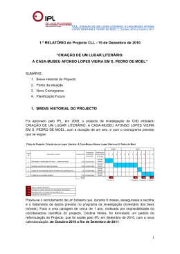 1.&ordm; RELAT&Oacute;RIO do Projecto CLL_15DEZ_2010 - IC
