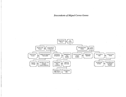 Descendants of Miguel Correa Gomes